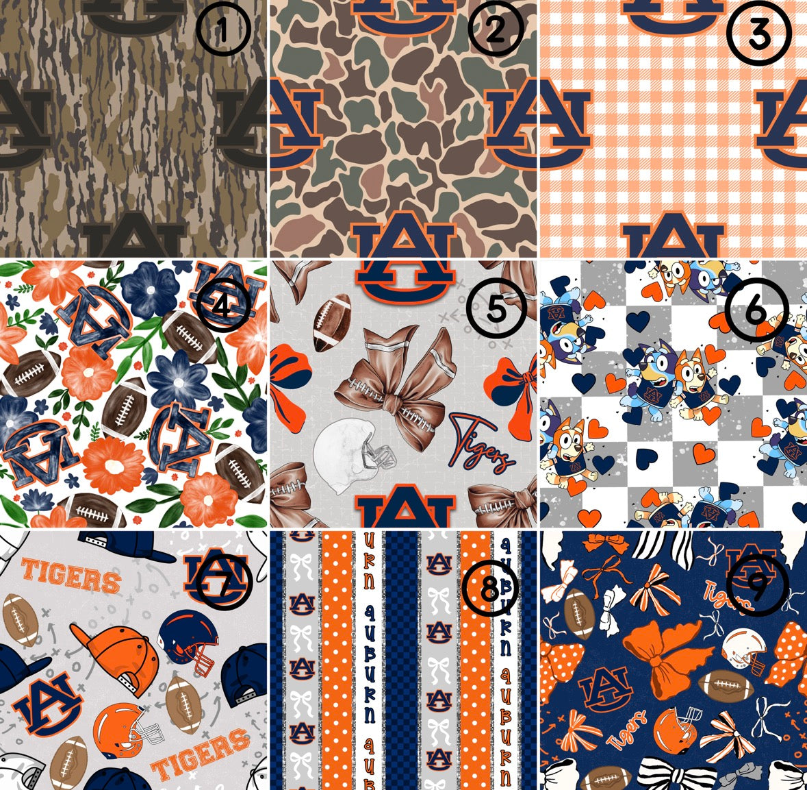 Auburn University