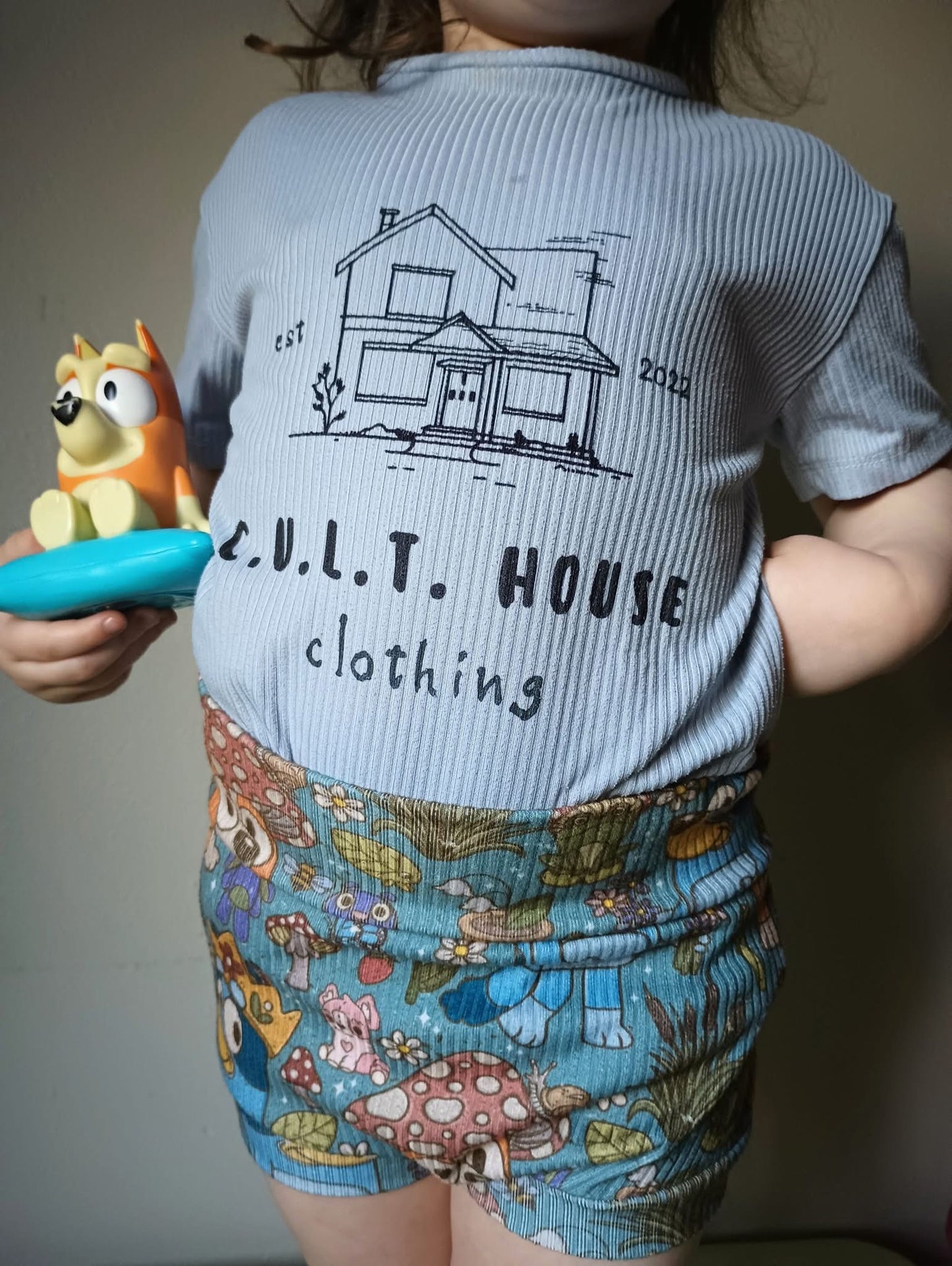 (Day 5) $5 Mystery Bummies